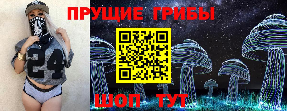 Михайловск  Галлюциногенные грибы Psilocybine cubensis  Галлюциногенные грибы мухоморы  Вход с VPN 