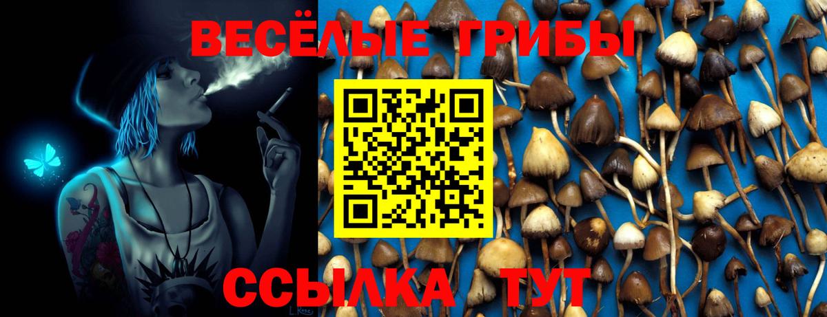 Псилоцибиновые грибы Magic Shrooms Михайловск